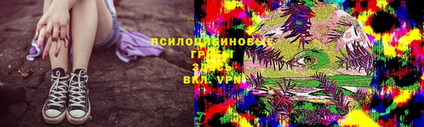 спиды Зеленокумск